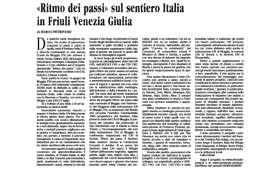 63. Nuovo articolo