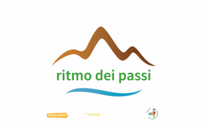 66. Cammino, partnership e speranza