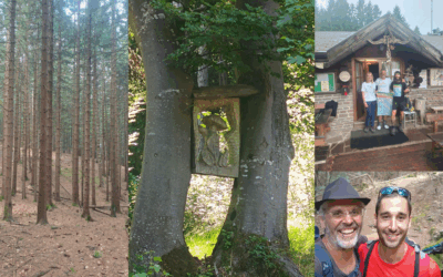 88. La montagna e l’uomo